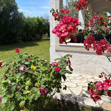 Apartament Sirios Acharavi  Zewnętrze zdjęcie