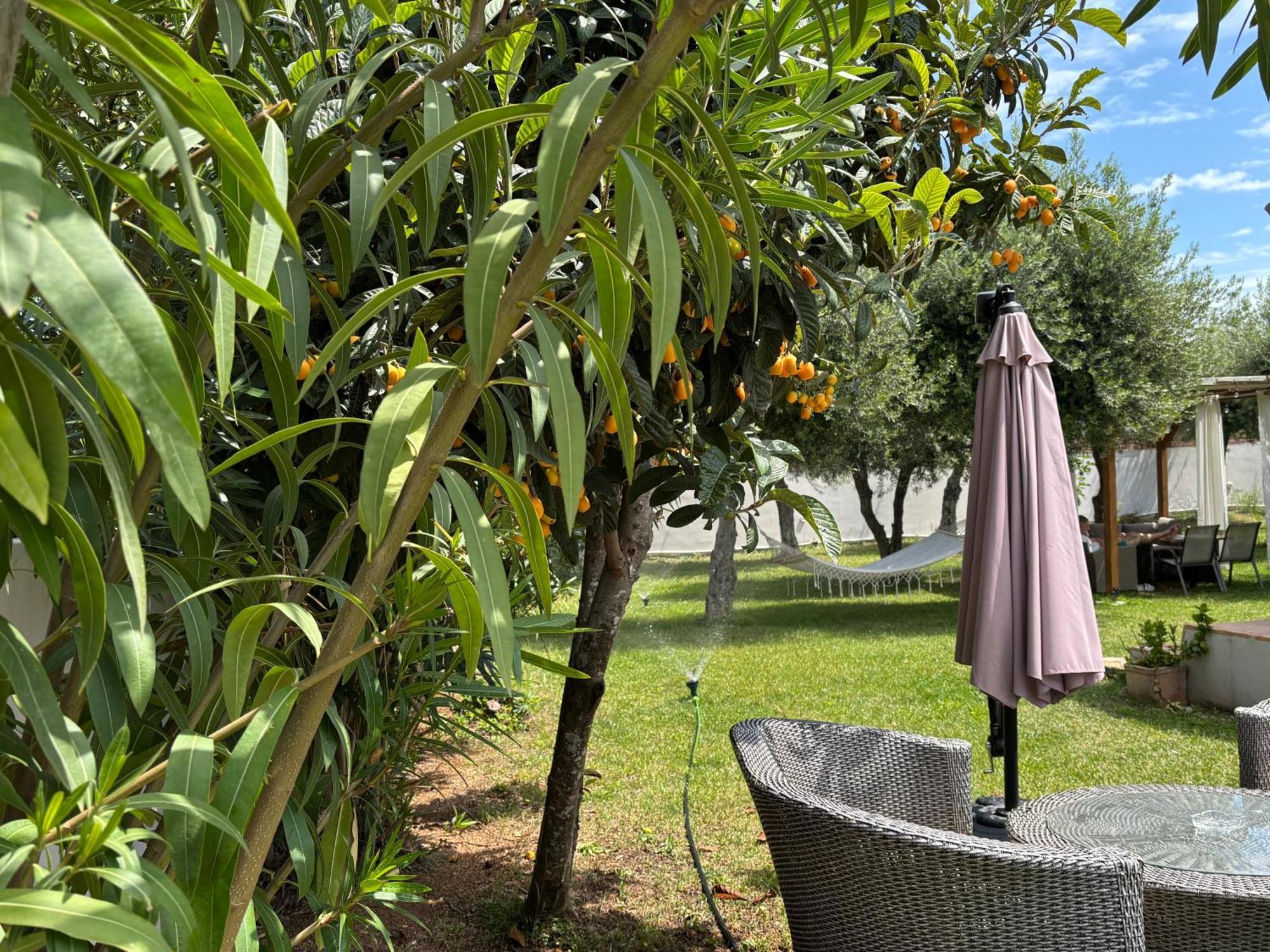Apartament Sirios Acharavi  Zewnętrze zdjęcie